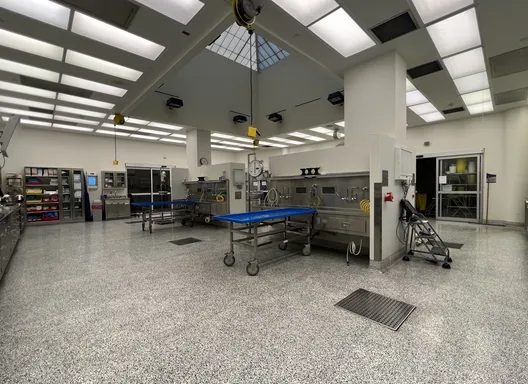 Autopsy Suite
